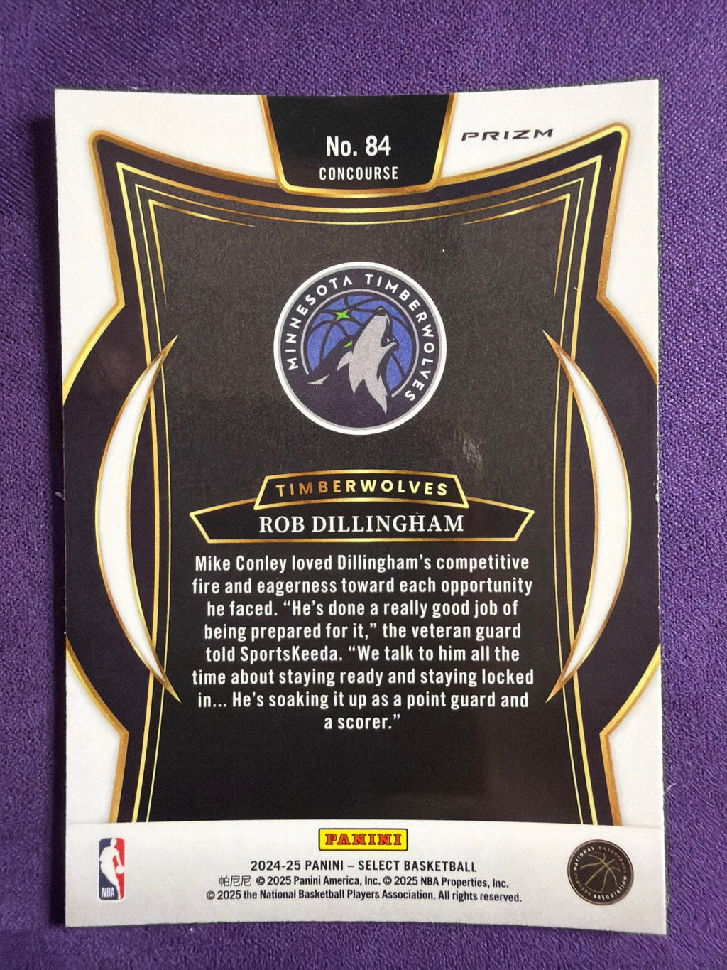 2024-25 Panini Select Rob Dillingham RC Blue Prizm #84