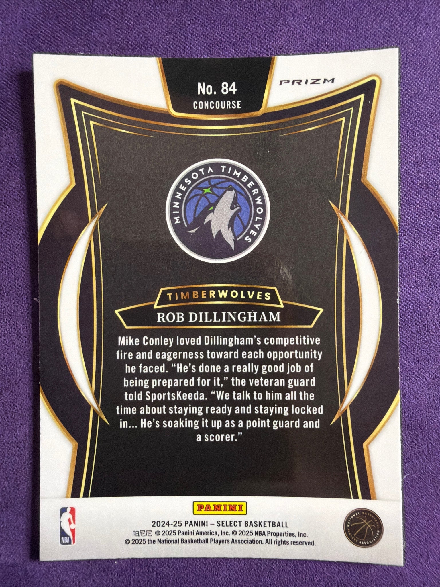 2024-25 Panini Select Rob Dillingham RC Blue Prizm #84